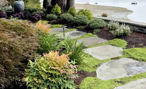 photo-mp-walkways-olympia.tacoma.wa