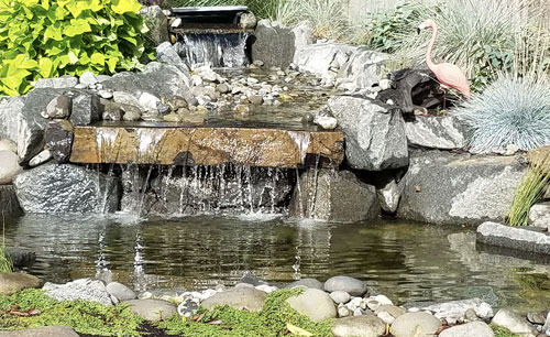 photo-mp-water-feature-olympia.tacoma.wa
