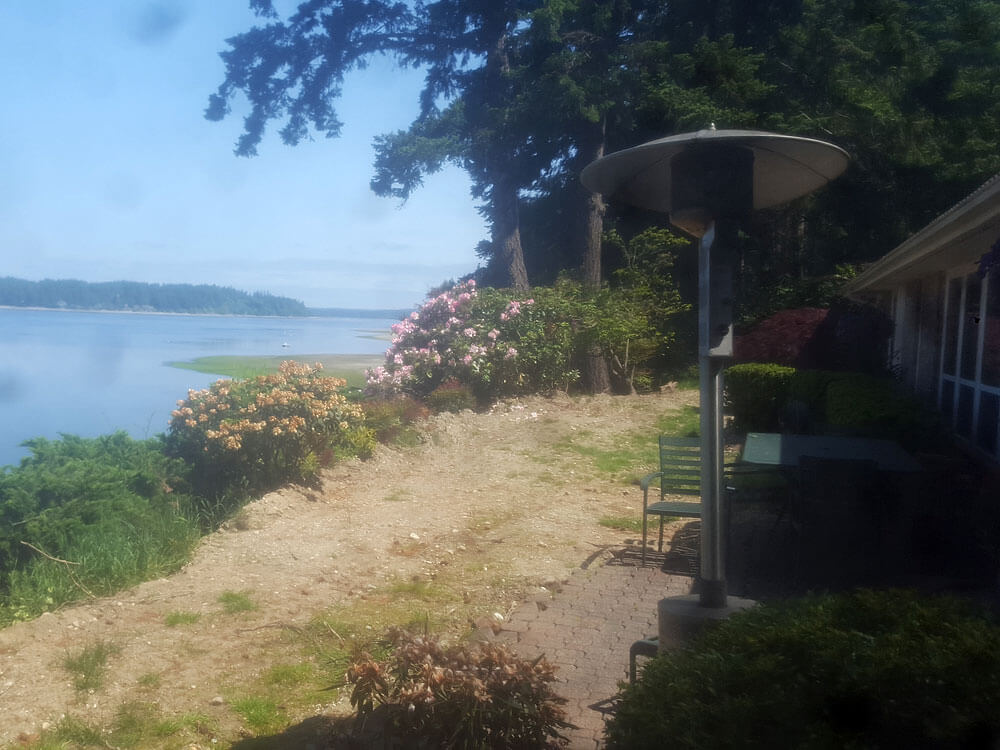 Waterfront landscape renovation before