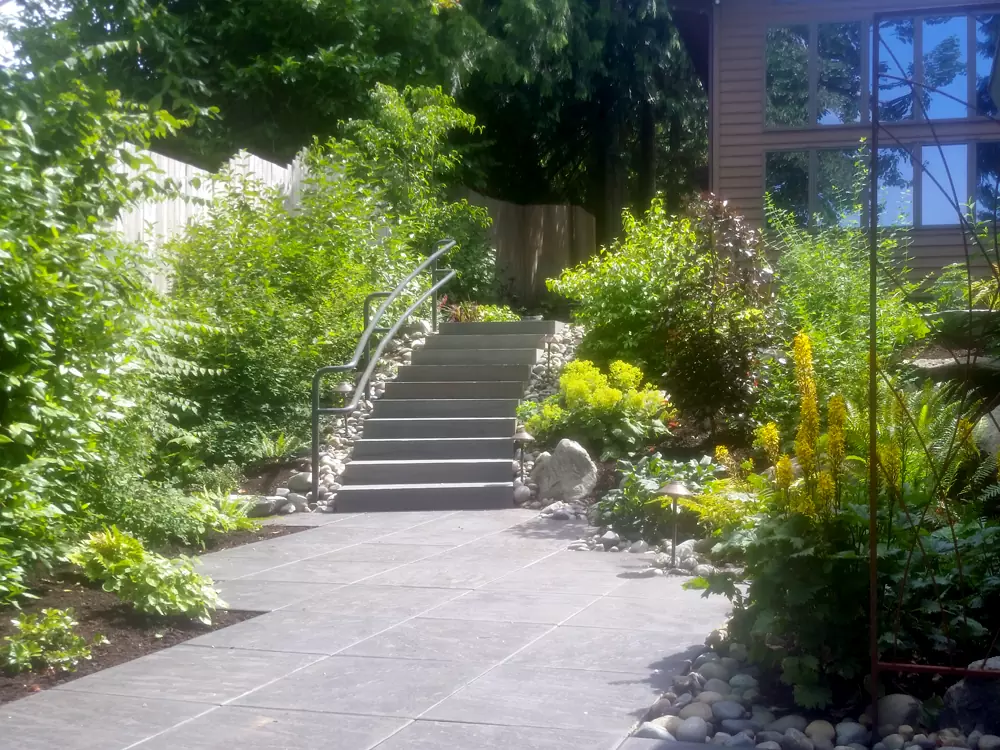 Native Habitat Planting: After (2 years)