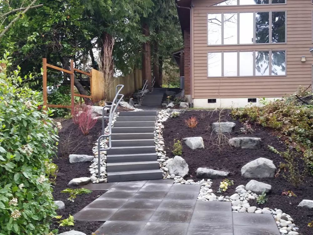 Native Habitat Planting: Before (just planted)