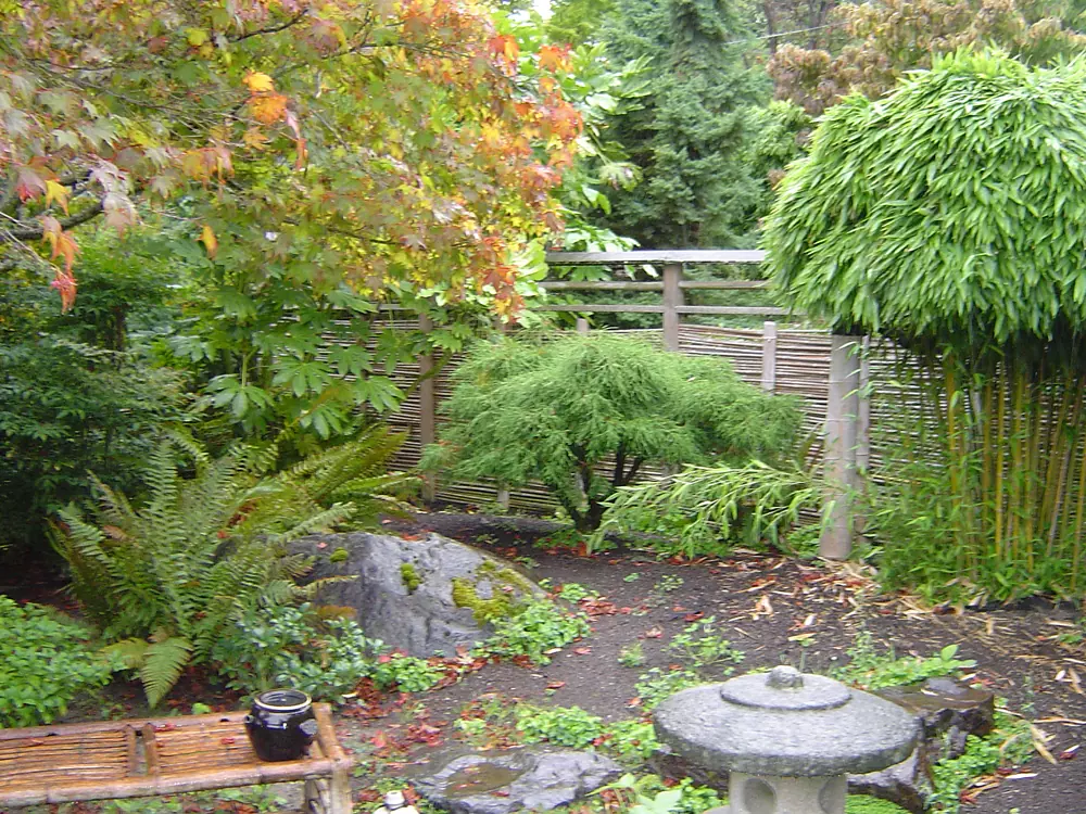 Native Habitat: Lush Zen garden habitat creation