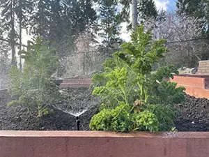 Garden micro-misters